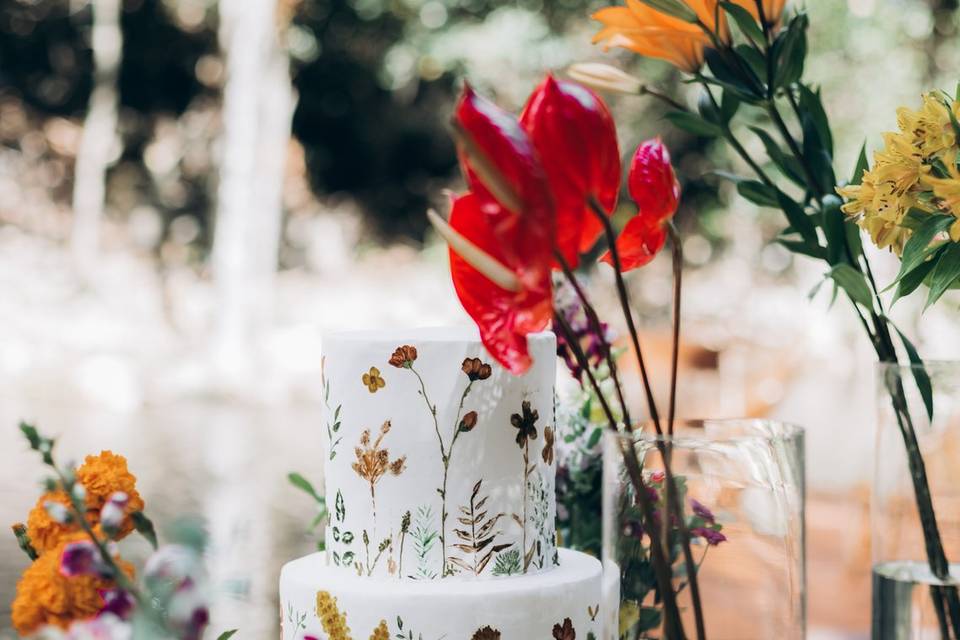Fotógrafo de Casamento