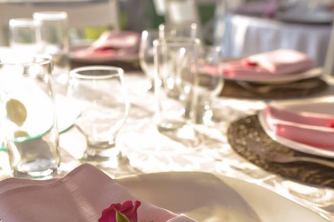 Diamante Rosa Produção de Eventos e Assessoria