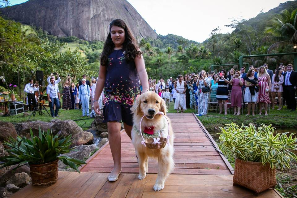 Débora Benaim Fotografia