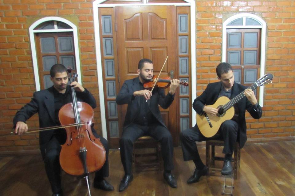 Grupo Musical Família Rodrigues