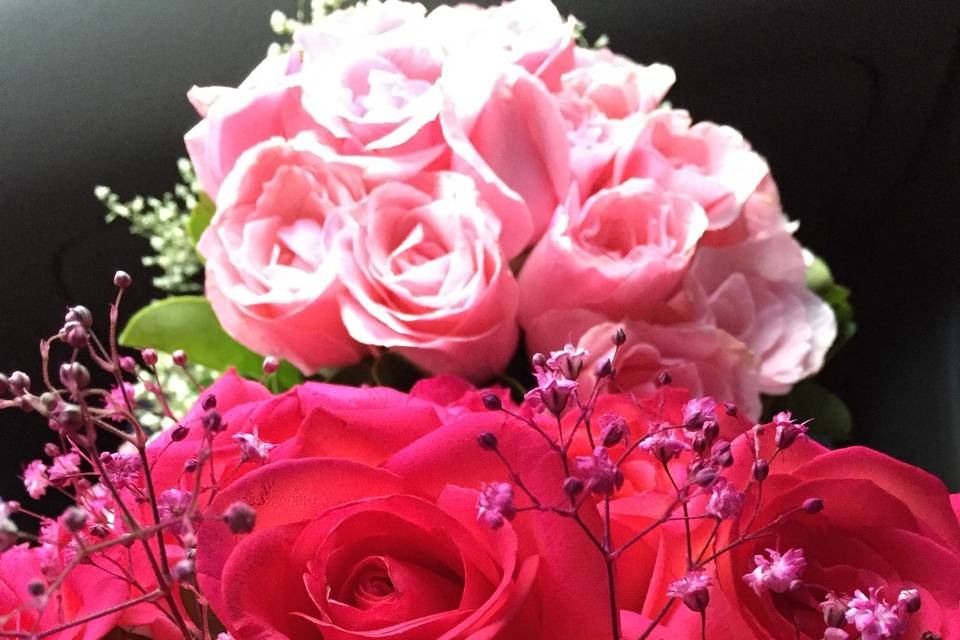 Flores