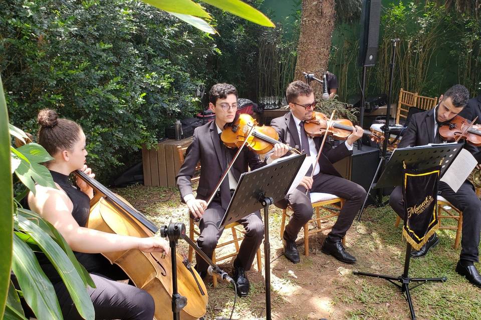 Quarteto de Cordas