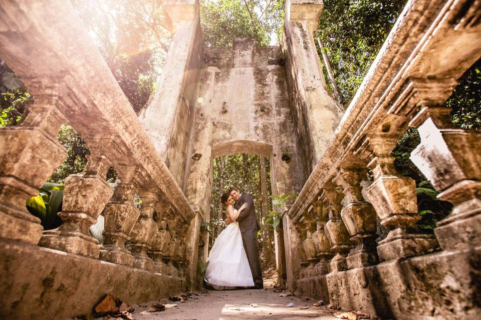 Trash The Dress