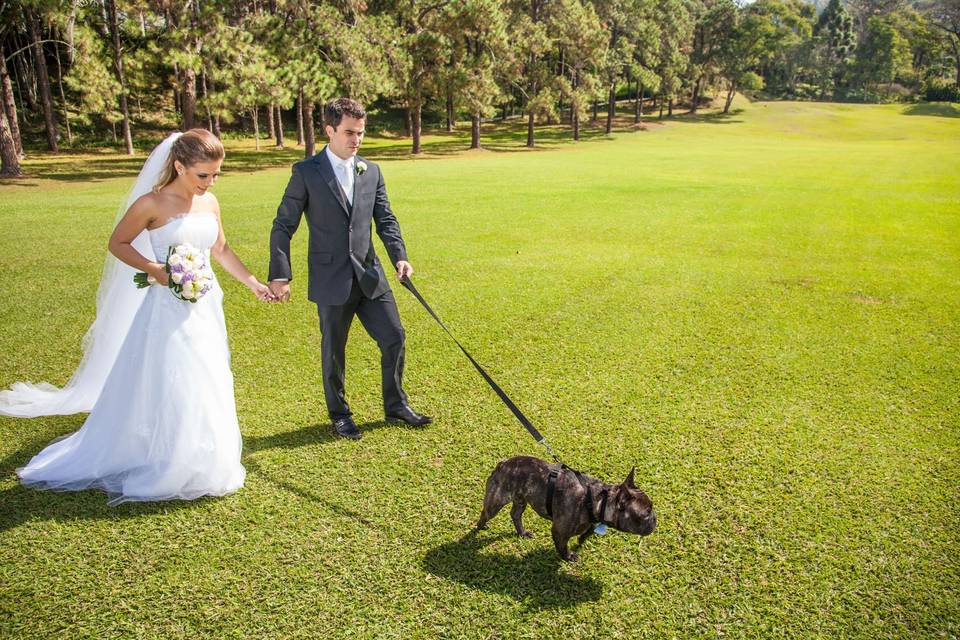 Trash The Dress