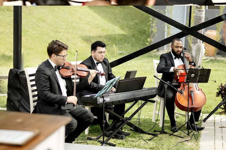 Trio de músicos