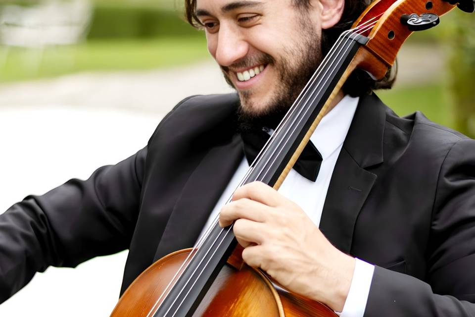 Violoncelo