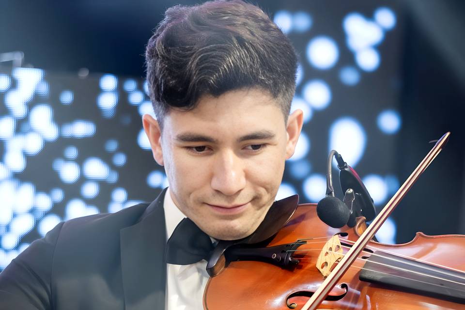 Violinista