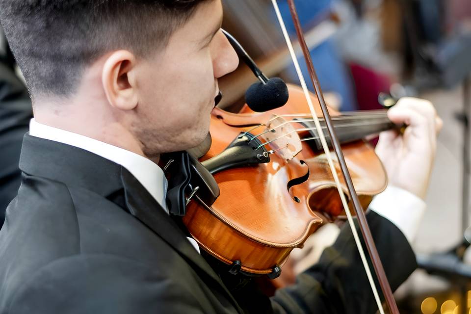 Violinista