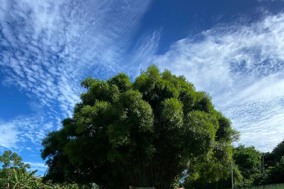 Esta area de cerimônia incríve