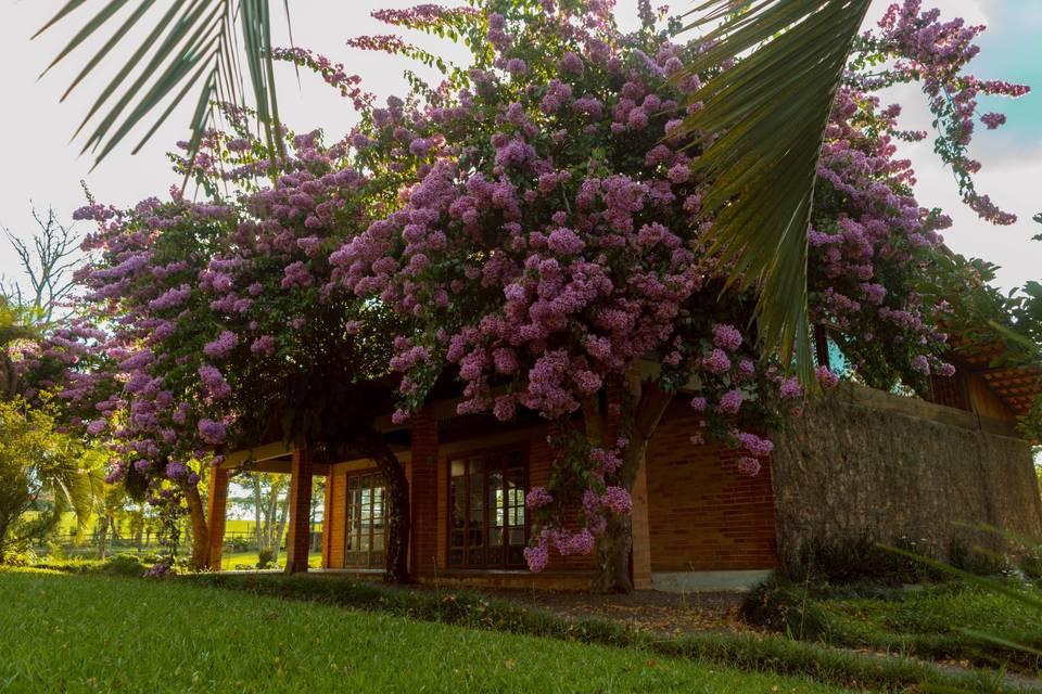 Chácara Rancho Ponderosa