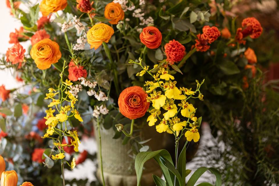 Marcela Chicolli Decor