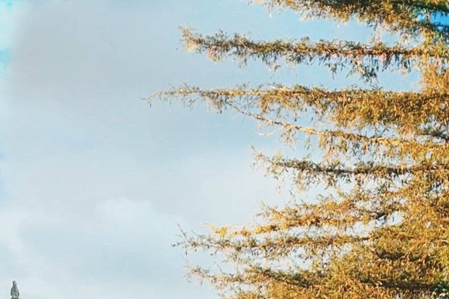 Casamentos com identidade.