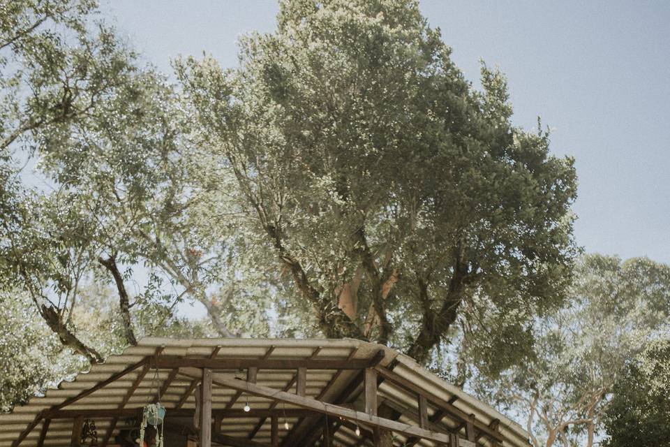 Casa Na Árvore