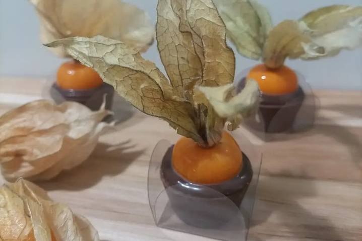 Copinho Physalis