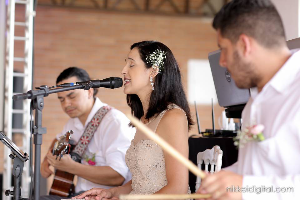 Casamento lindo em um haras