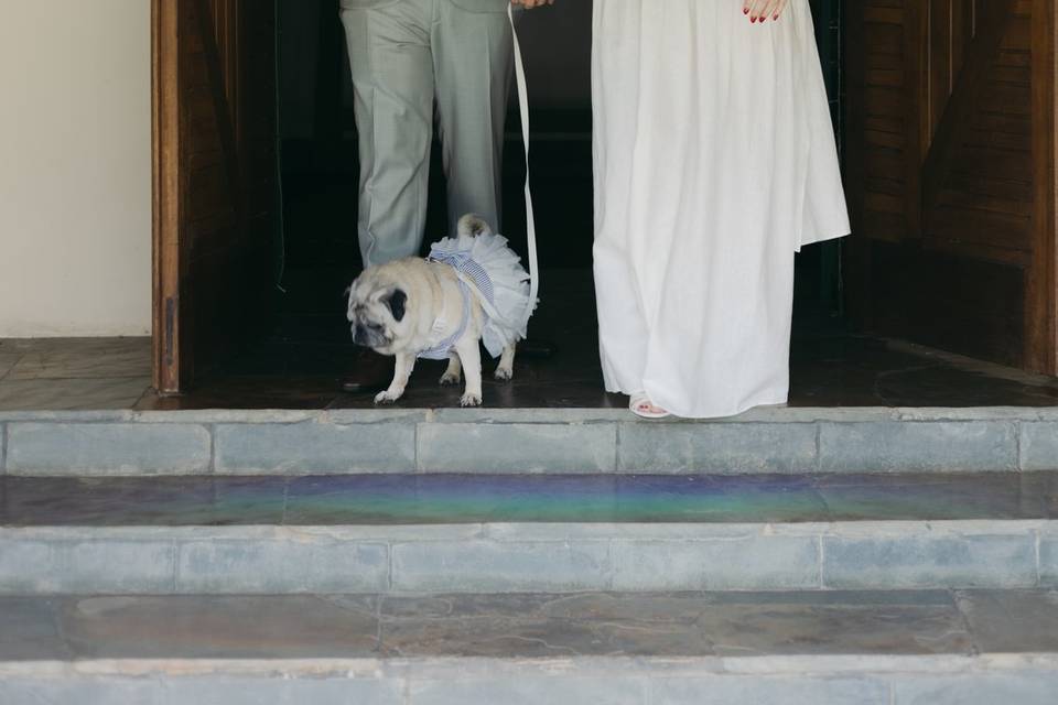 Cerimonialista de casamento