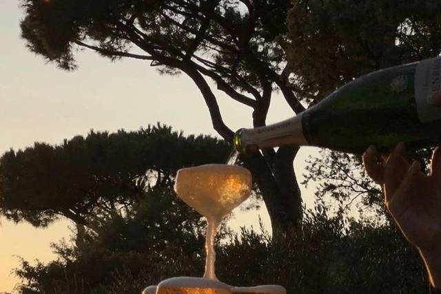 Alpha Drinks