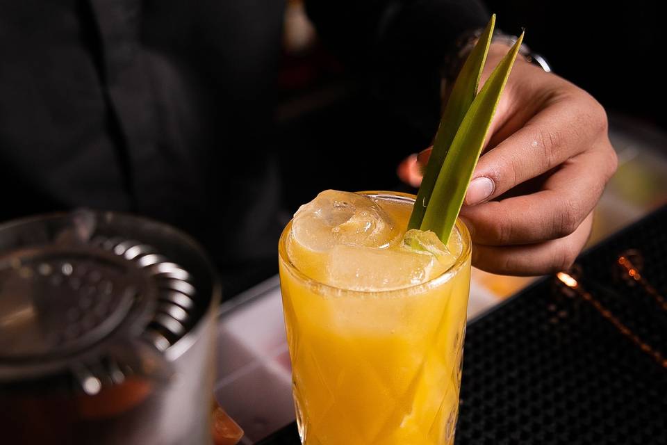 Alpha Drinks