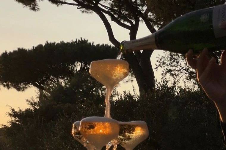 Alpha Drinks