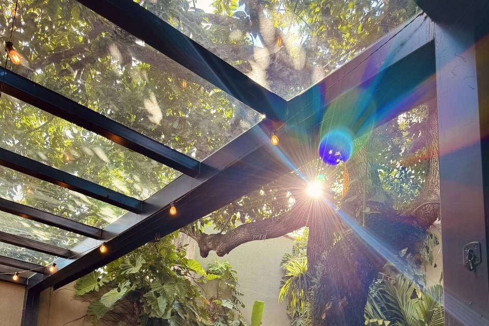 Jardim Fundo
