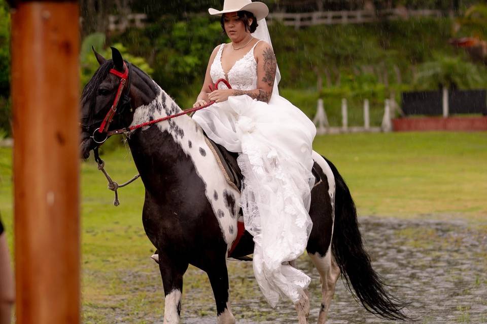 Noiva Beatriz 07/02/26