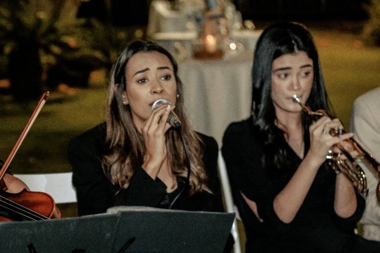 Campos Musical