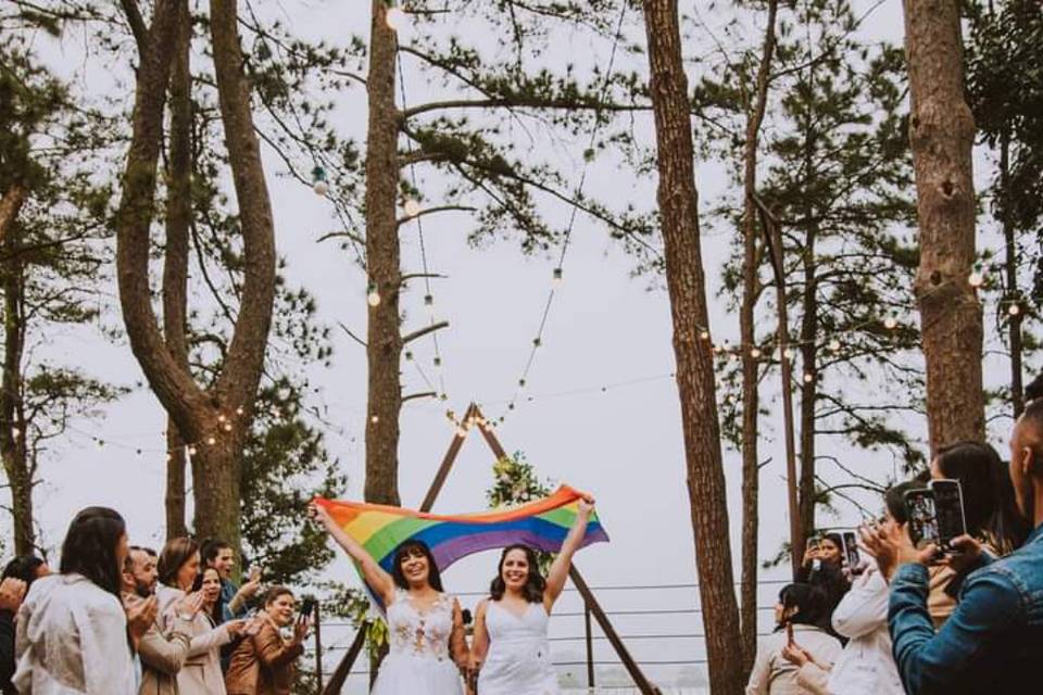 Fotografando o amor