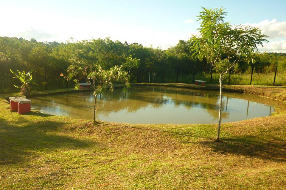 Tanque de peixe