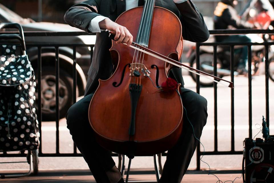 Cello