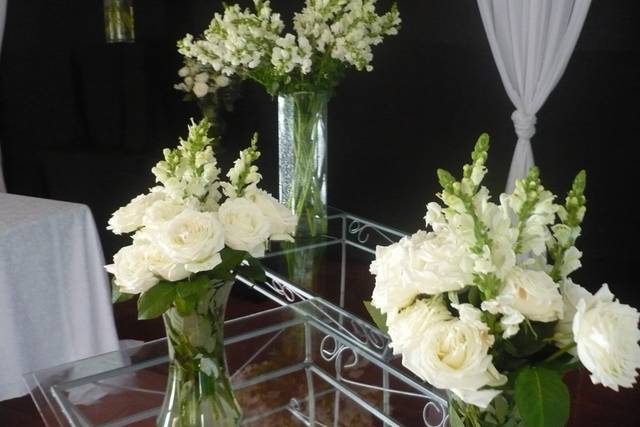 Flores em evidências