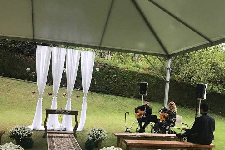 Wewed Assessoria
