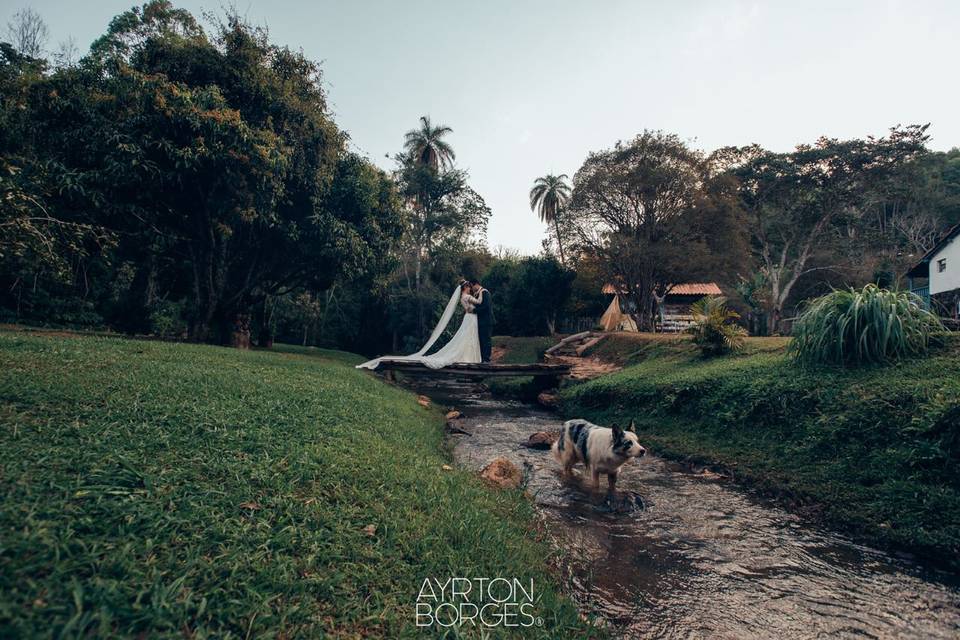 Bougainville Farm