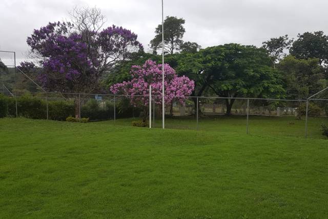 Espaço gramado