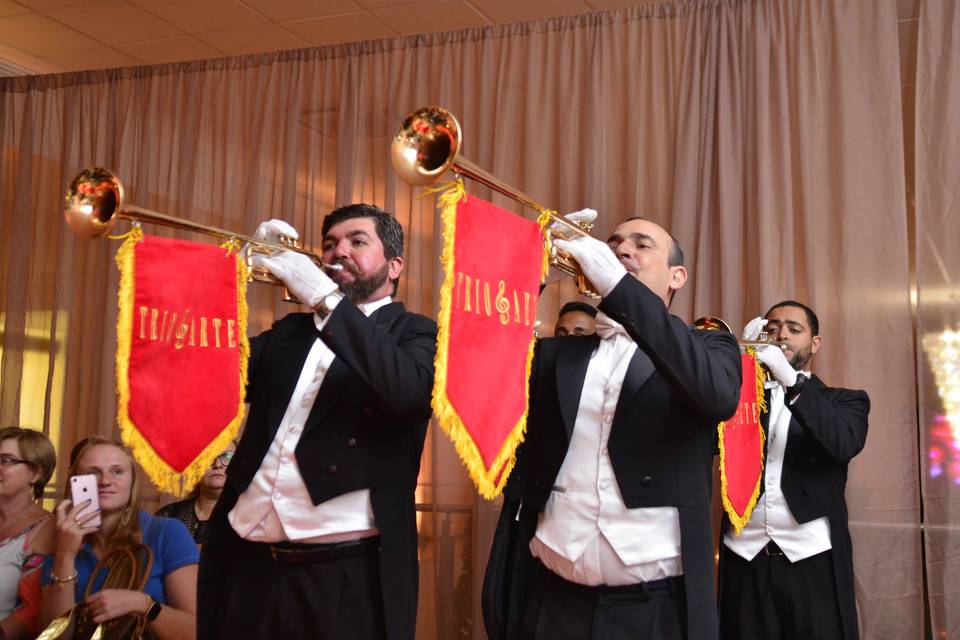 Trio e Arte - Música para casamento