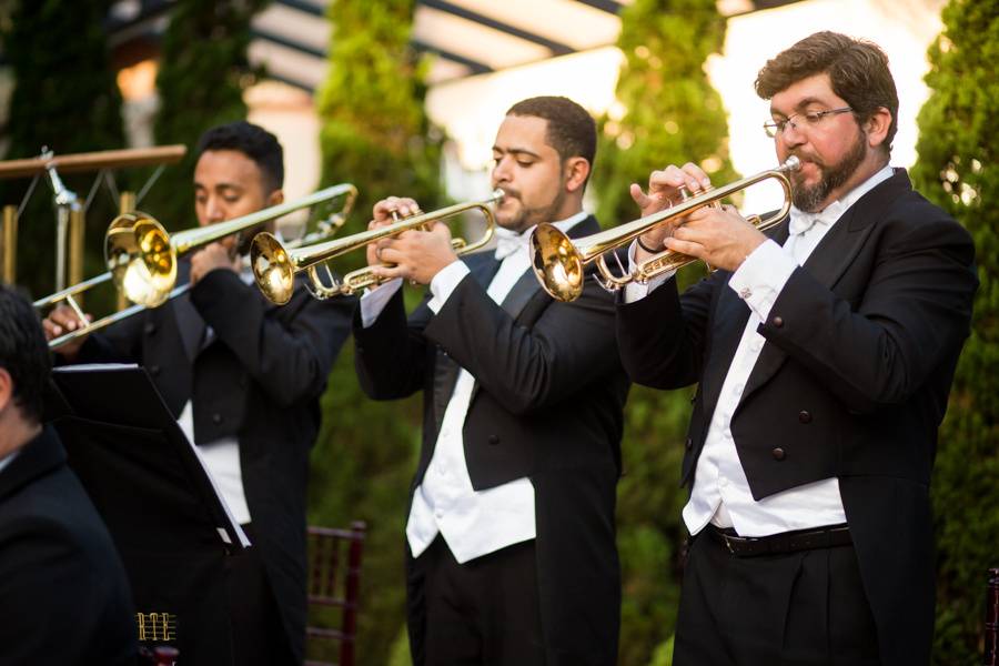 Trio e Arte - Música para casamento