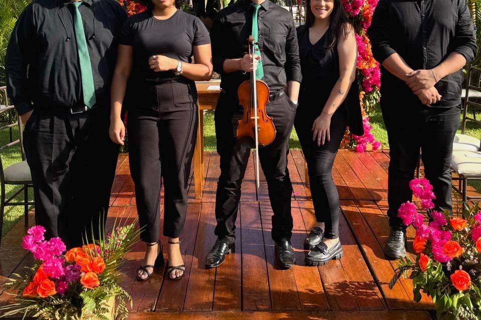 Musical Régler
