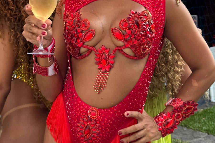 Animação com mulatas