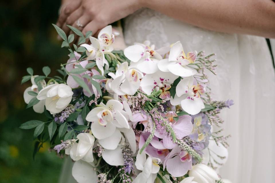 Fotógrafo de Casamento