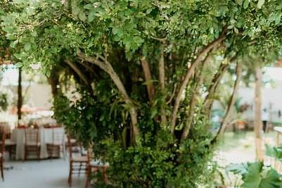 Decoração de Casamento