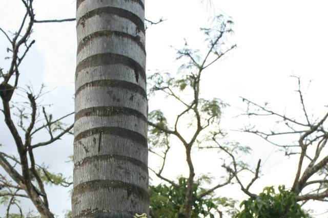 Pousada Vargem do Cedro