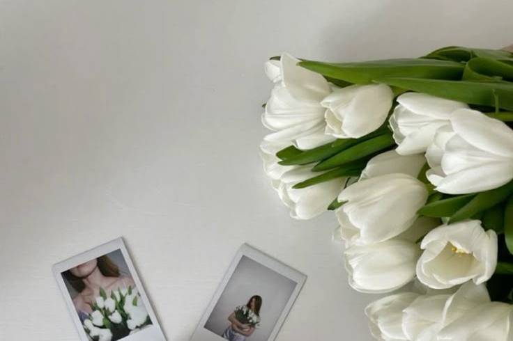 Instaxbyia