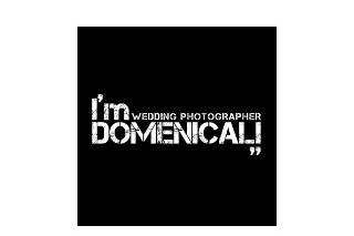 Renato Domenicali Fotografia logo