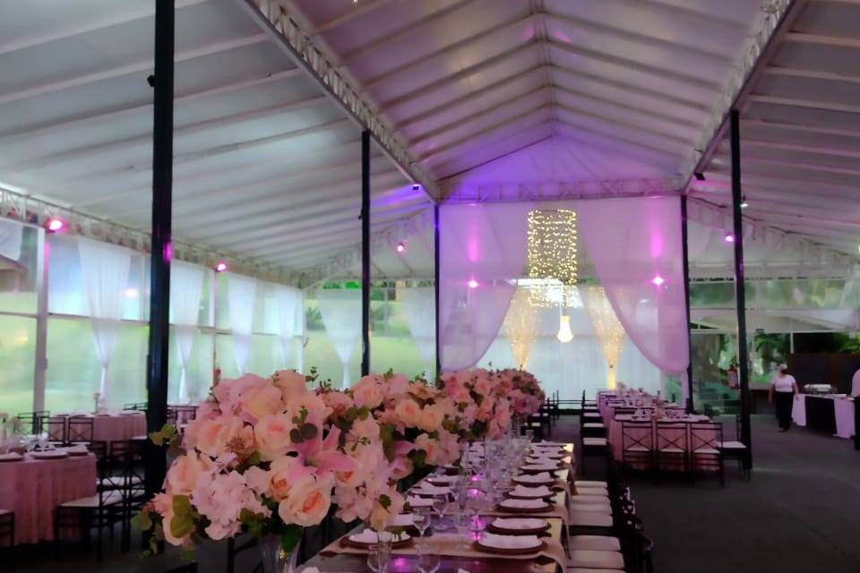 Verde nobre eventos