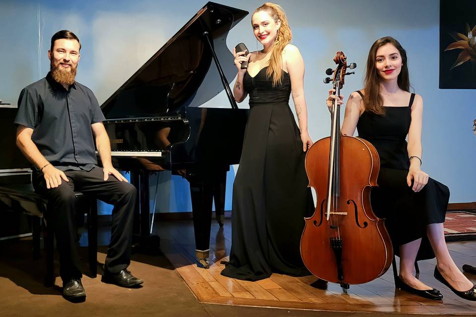 Formações musicais variadas