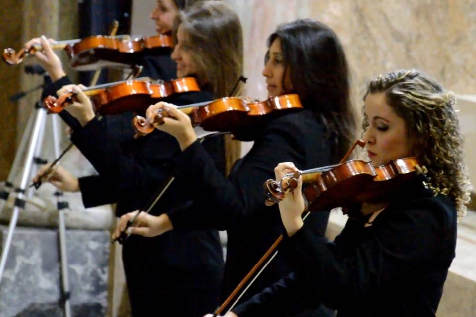 Quarteto de violinos