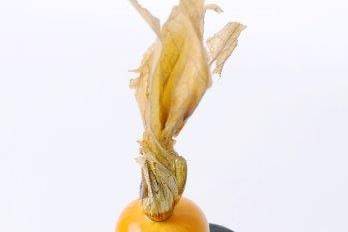 Copinho Physalis