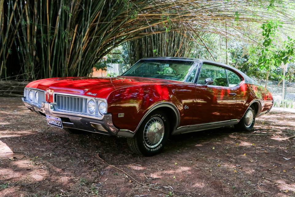 Olds1