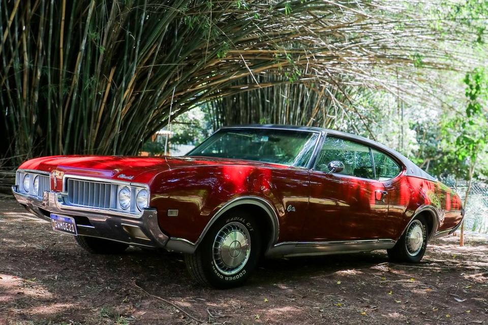Olds8