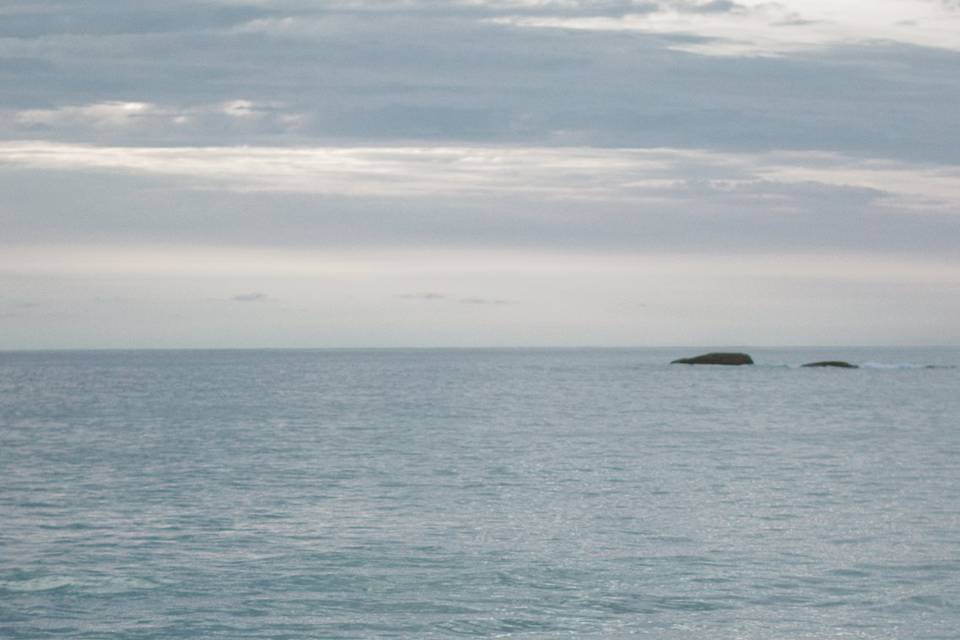 Daminhas de honra a beira-mar