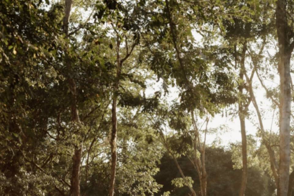 Cerimônia